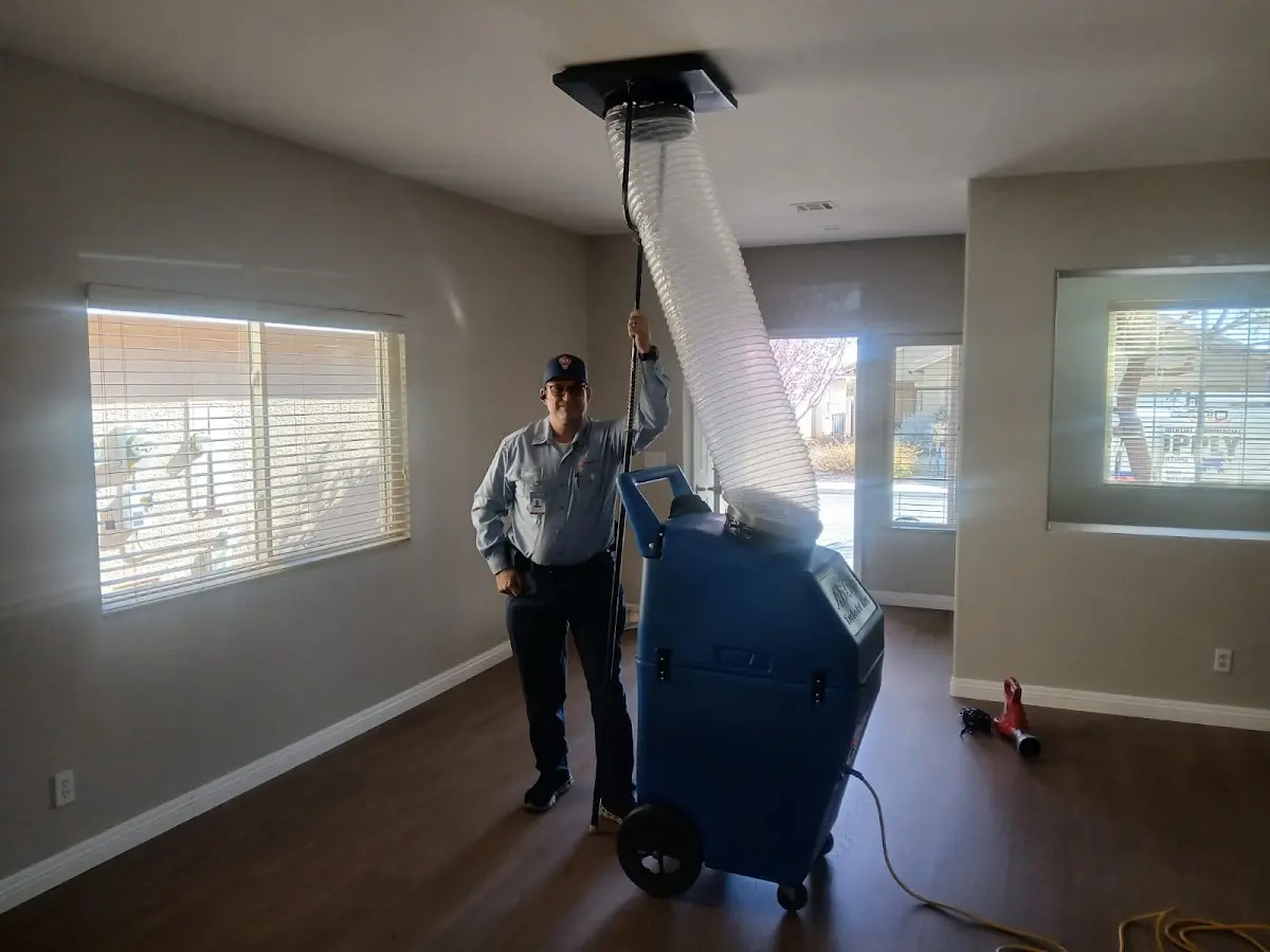 Professional Dryer Vent Cleaning work inside a D'Iberville home
